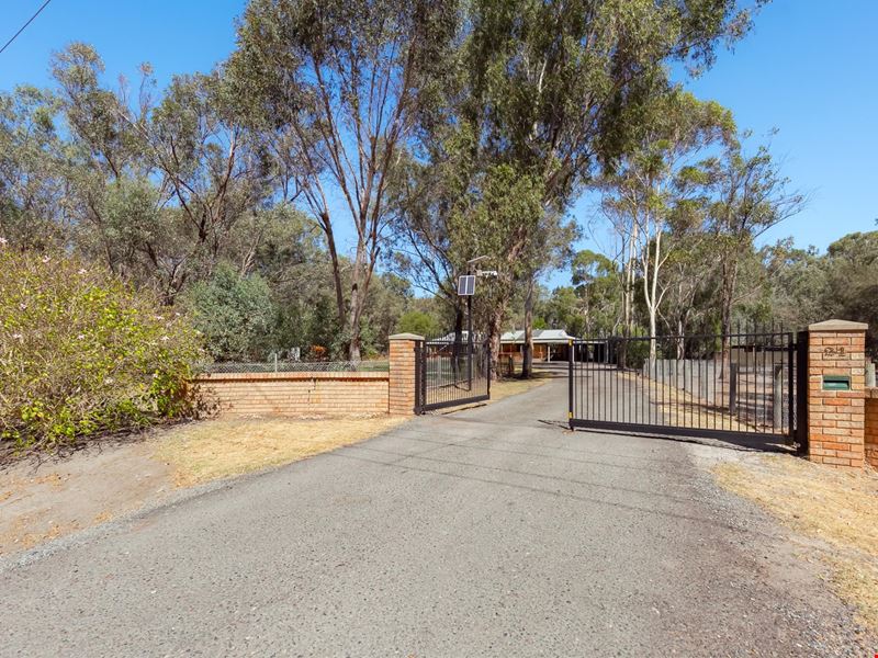 24 SWAMP GUM, Oakford WA 6121