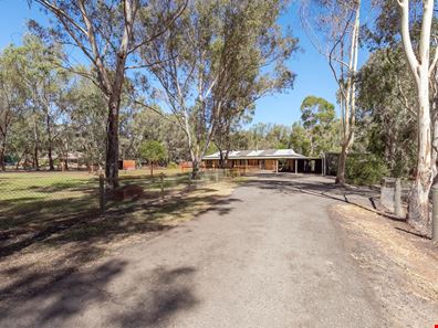 24 SWAMP GUM, Oakford WA 6121