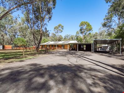 24 SWAMP GUM, Oakford WA 6121