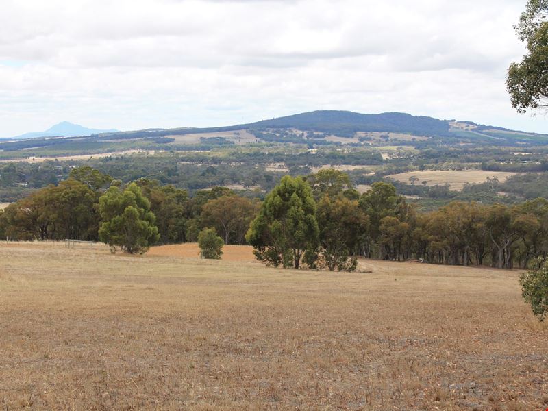 134 Braidwood Road, Mount Barker WA 6324