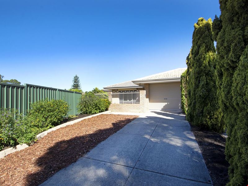 3B WHITCOMBE WAY, Alexander Heights WA 6064