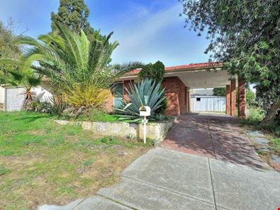 50 Wintersweet Ramble, Mirrabooka WA 6061