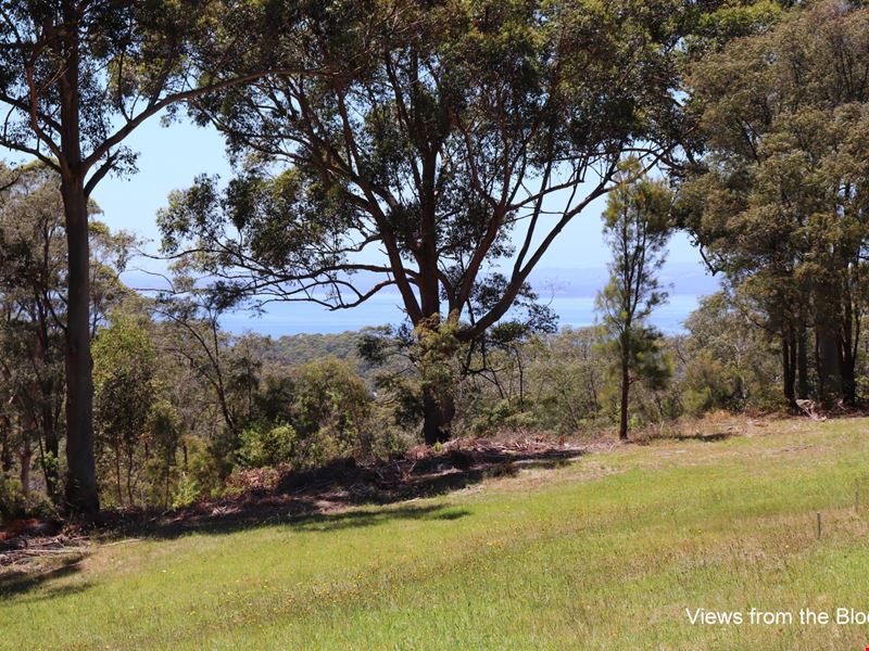 136 Cussons Rd, Denmark WA 6333