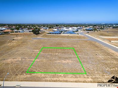 27 Half Moon Drive, Waggrakine WA 6530