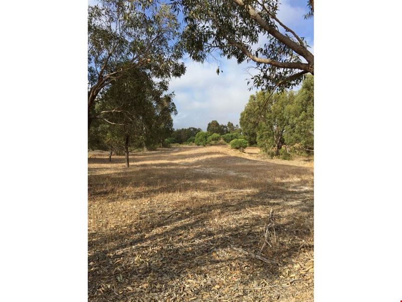 Lot 2 Acacia Road, Springfield WA 6525