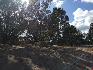 Lot 2 Acacia Road, Springfield WA 6525