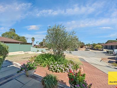 11 Rowe Place, Midland WA 6056