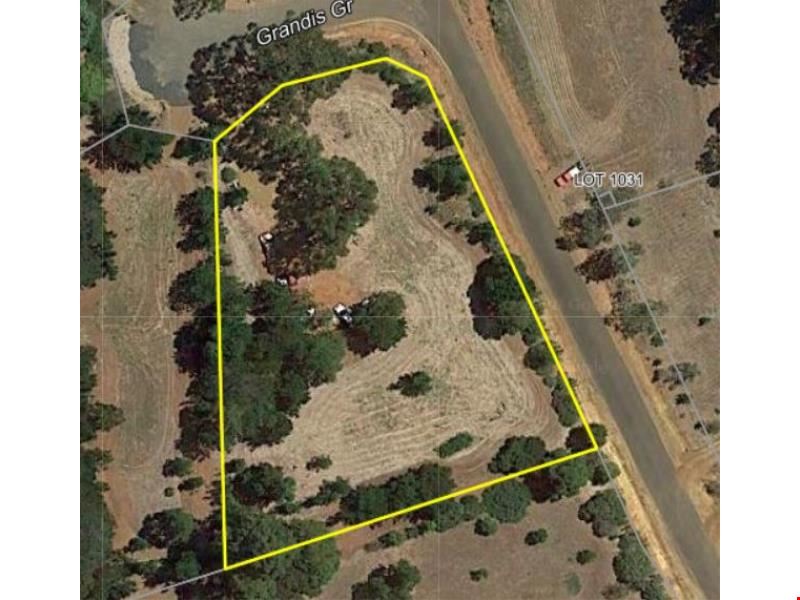 117/ Grandis Grove, Balingup WA 6253