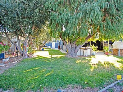 10 McDonald Place, Green Head WA 6514