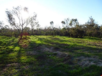 57 Richmond Street, Williams WA 6391