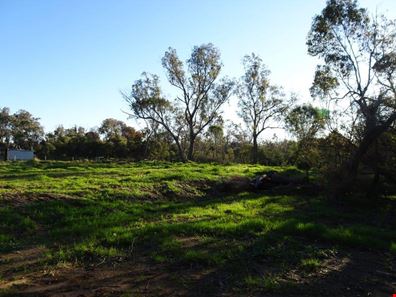 57 Richmond Street, Williams WA 6391