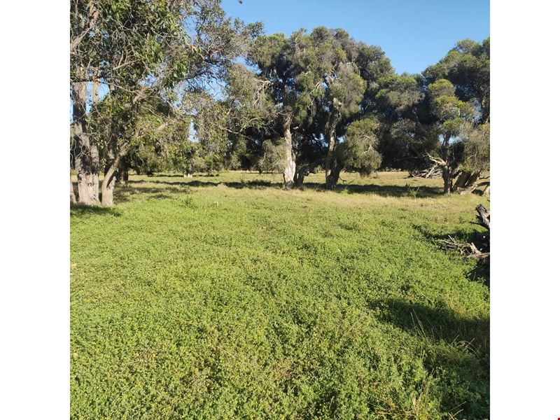 104/ Coonabidgee Road, Coonabidgee WA 6503