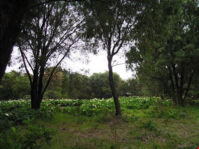 20/40 Hemsley Road, Naturaliste WA 6281