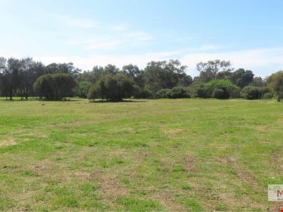 135 Blair Road, Oakford WA 6121