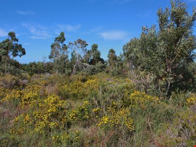 170 Darch Trail, Gabbadah WA 6041