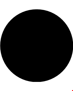 Tegan Phillips head shot