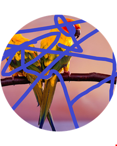 Samir Merzaie head shot